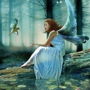 Meet your Posher, Billie